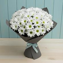 Букет цветов из:  Хризантемы #REPLACE_PRED# Усинске