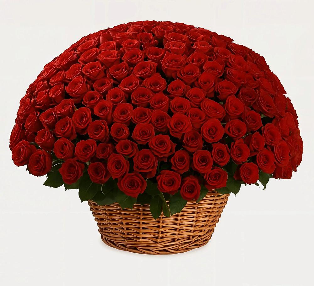 Премиум букет из: Розы в Усинске