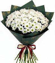 Букет цветов из:  Хризантемы в Усинске