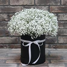 Цветочная композиция из Гипсофила в шляпной коробке в Усинске